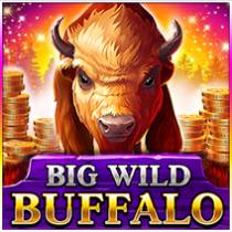Laro Big Wild Buffalo Big Wild Buffalo